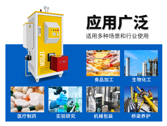 100-300公斤燃氣蒸汽發生器