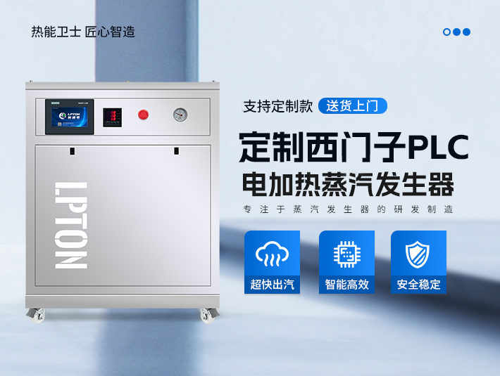 定制款西門子PLC蒸汽發生器