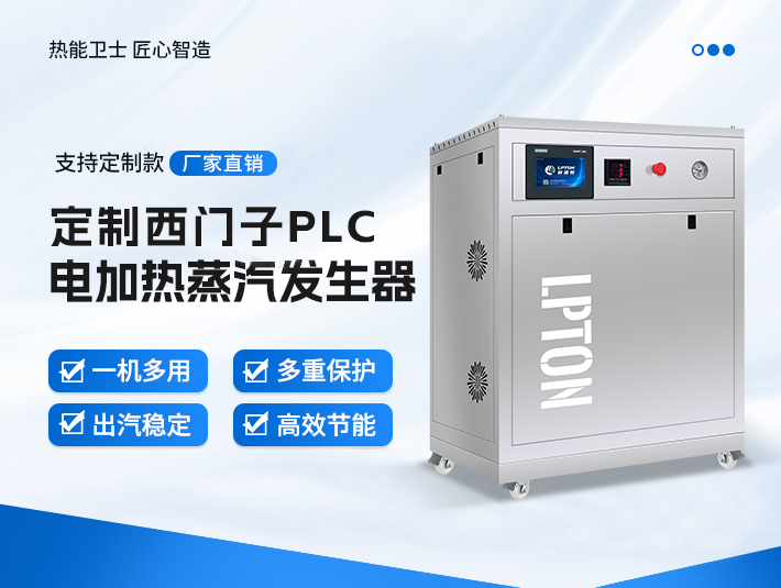 定制款西門子PLC蒸汽發生器