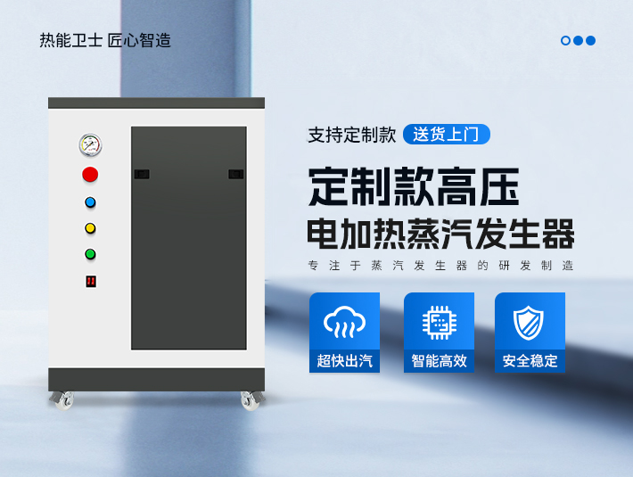 定制款高壓蒸汽發生器