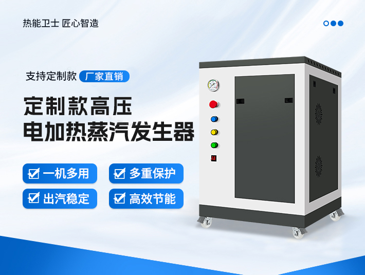 定制款高壓蒸汽發生器