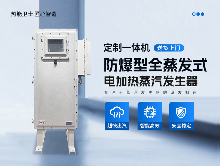 定制一體防爆全蒸發式電加熱蒸汽發生器