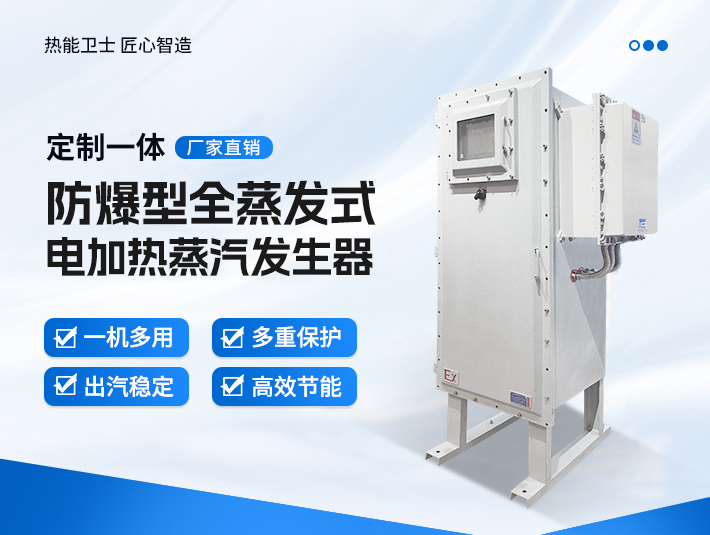 定制一體防爆全蒸發式電加熱蒸汽發生器